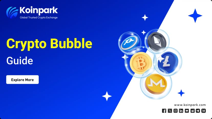 Crypto Bubble Guide