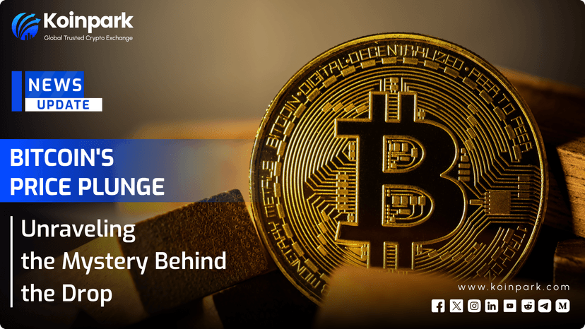 Bitcoin's Price Plunge: Unravelling the Mystery Behind the Drop