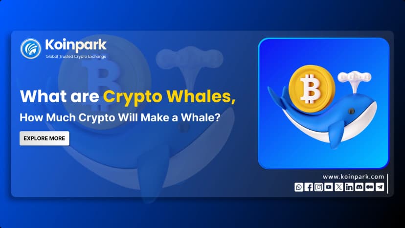 What are Crypto Whales and How Much Crypto Will Make a Whale?