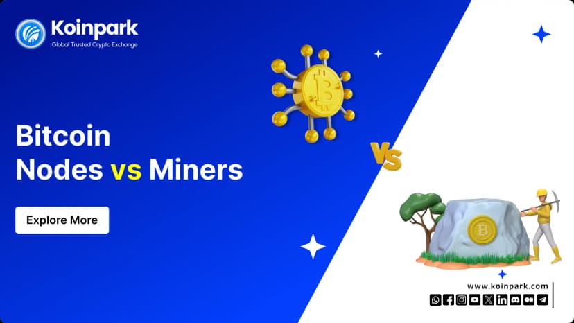 Bitcoin Nodes vs. Miners