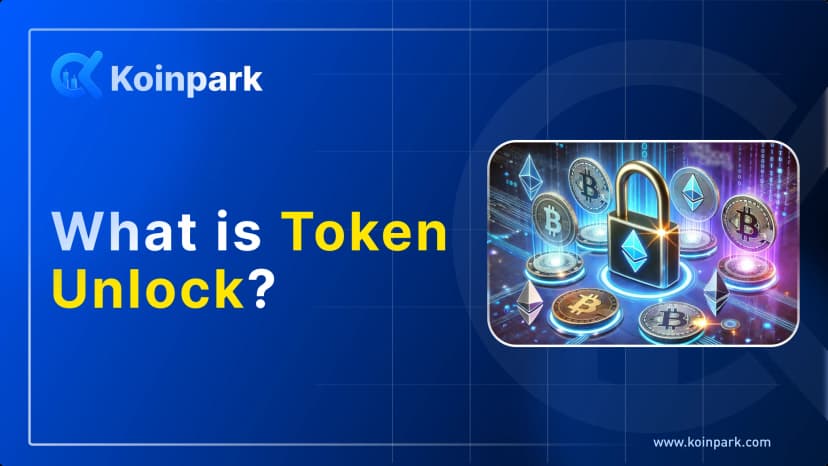 What is Token Unlock?