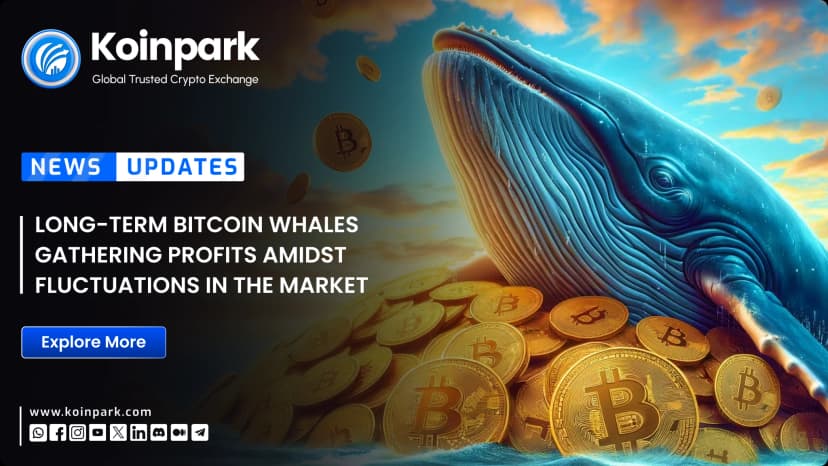 Long-term Bitcoin whales gathering profits amidst fluctuations in the market
