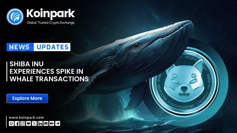 Shiba Inu Experiences Spike in whale Transactions
