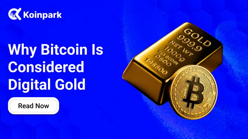 Why Bitcoin is Digital Gold: The 2026 Comprehensive Guide
