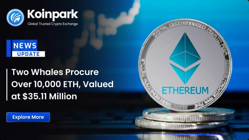Two Whale Investors Procure Over 10,000 ETH, Valued at $35.11 Million