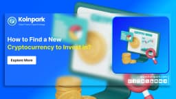 How to Find a New Cryptocurrency to Invest In?