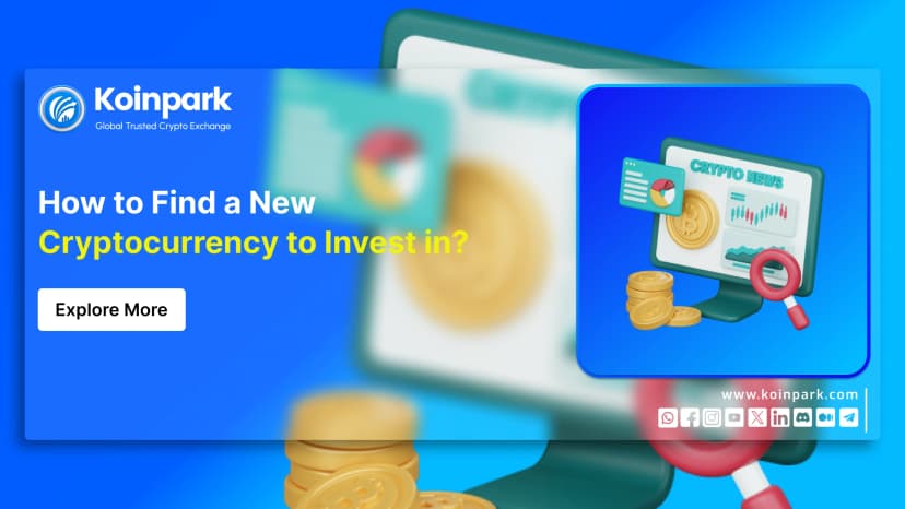 How to Find a New Cryptocurrency to Invest In?