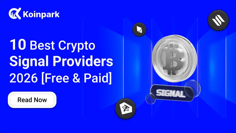 10 Best Crypto Signal Providers 2026: Telegram + Discord (Free & Paid)
