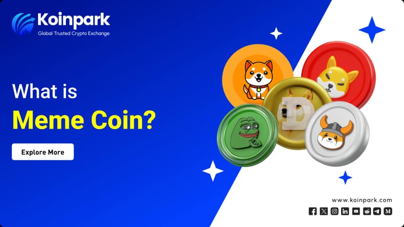 What is a Meme Coin?