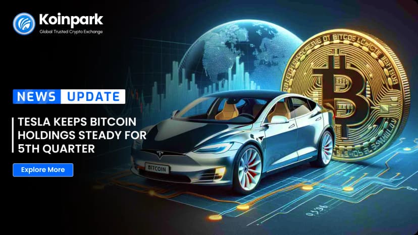 Tesla Keeps Bitcoin Holdings Steady for 5th Quarter