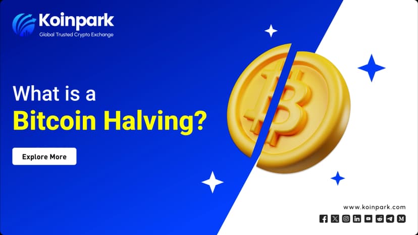 What is a Bitcoin Halving?