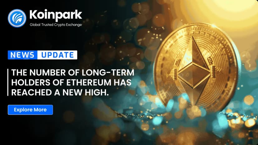 The number of long-term holders of Ethereum has reached a new high.