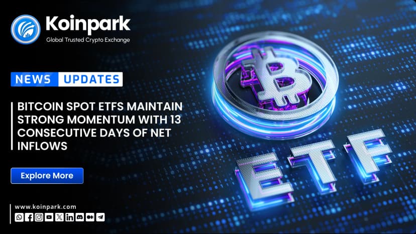 Bitcoin Spot ETFs Maintain Strong Momentum with 13 Consecutive Days of Net Inflows