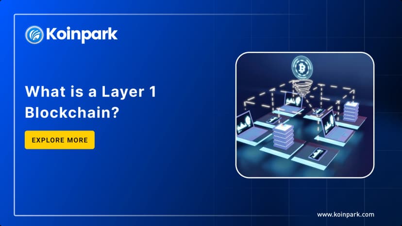 What is a Layer 1 Blockchain? 