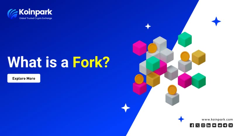 What is a Fork?