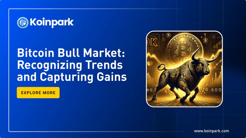 Bitcoin Bull Market: Recognizing Trends and Capturing Gains