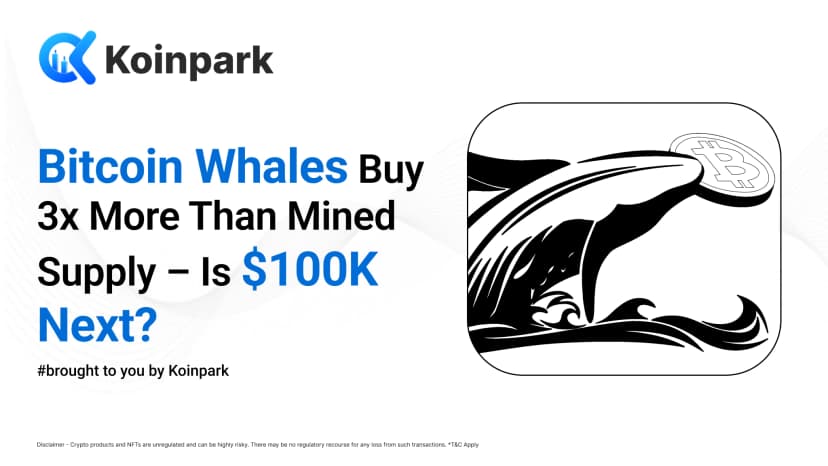 Bitcoin Whales Buy 3x More Than Mined Supply – Is $100K Next?