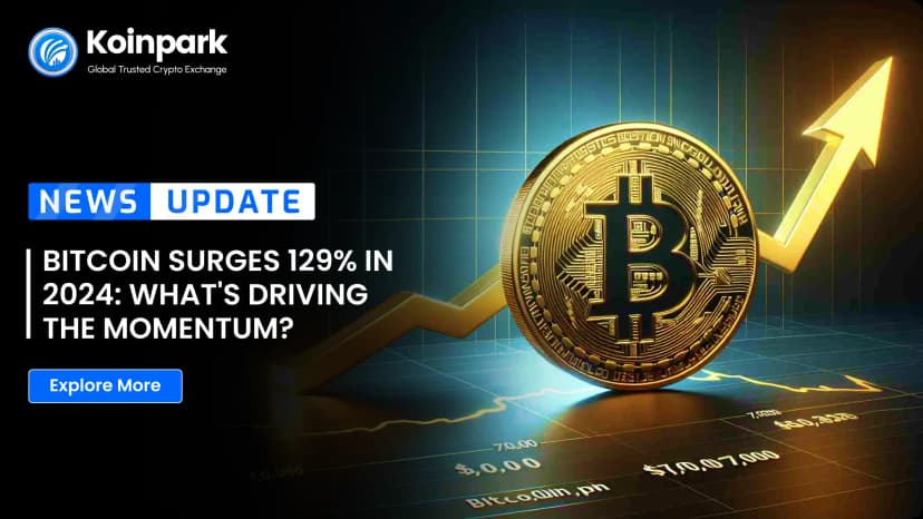 Bitcoin Surges 129% in 2024: What's Driving the Momentum?