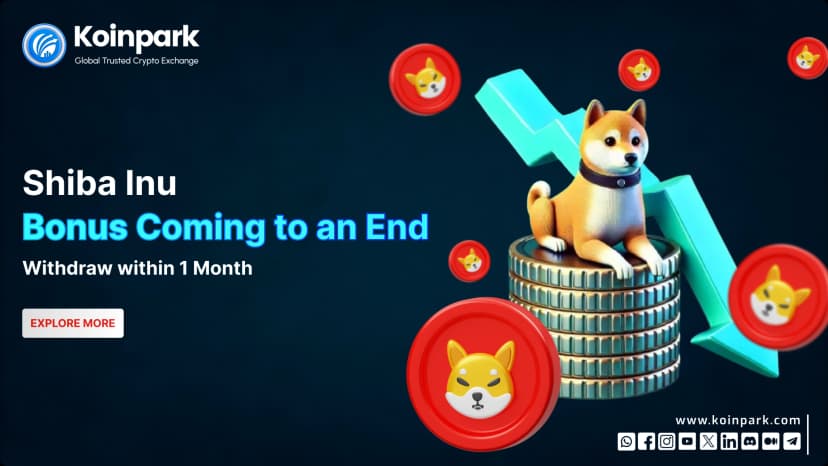 Shiba Inu Bonus Coming to an End | Withdraw Within 1 Month