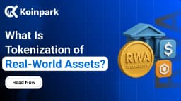 What Is Tokenization of Real-World Assets? 