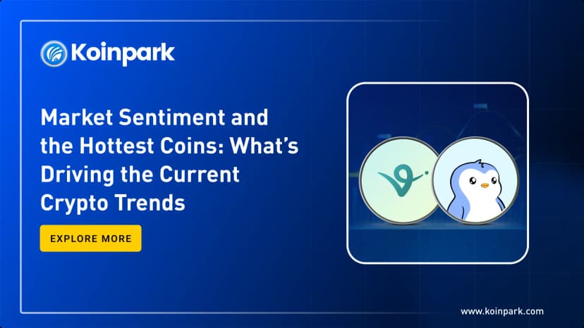 Market Sentiment and the Hottest Coins: What’s Driving the Current Crypto Trends