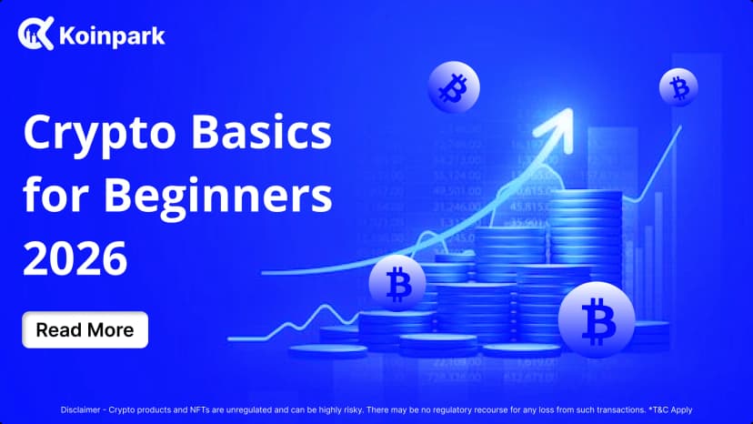 Crypto Basics for Beginners 2026 