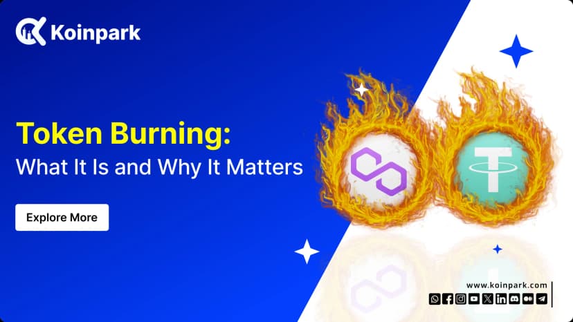 Token Burning - What It Is and Why It Matters?