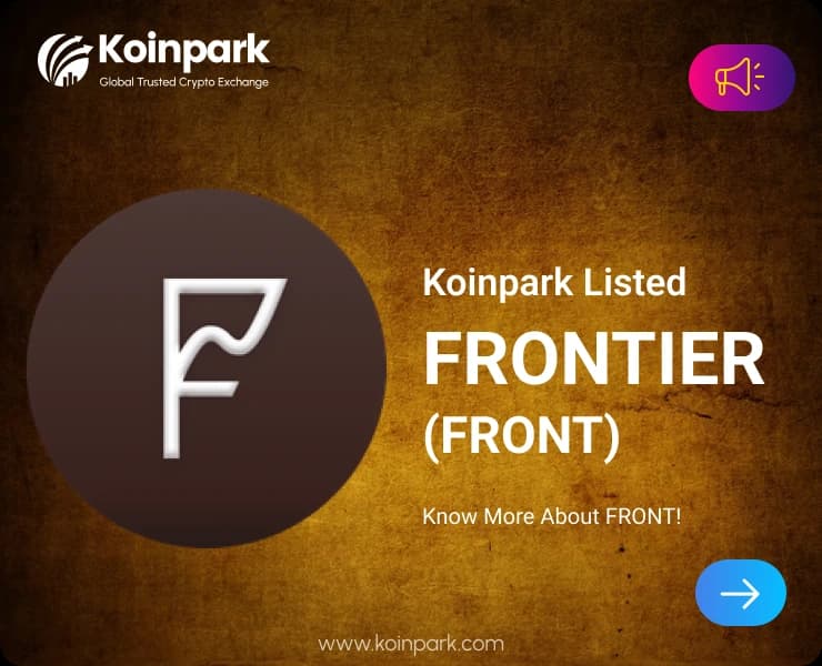 Frontier: Bridging DeFi Across Multiple Blockchains