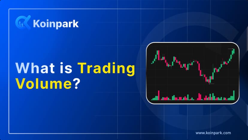 What Is Trading Volume?