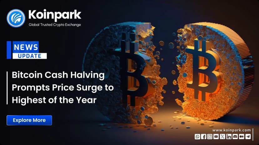 Bitcoin Cash halving prompts price surge to highest of the year