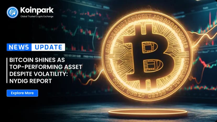 Bitcoin Shines as Top-Performing Asset Despite Volatility: NYDIG Report