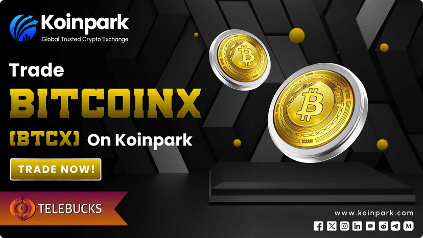 BTCX Joins the Roster: Newly Listed on Koinpark