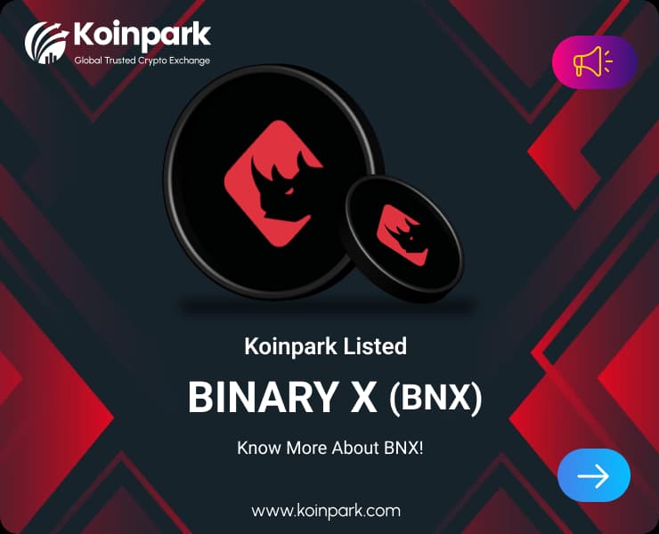 BinaryX Token Listed: What Is BNX Token? How To Trade BNX In Koinpark?