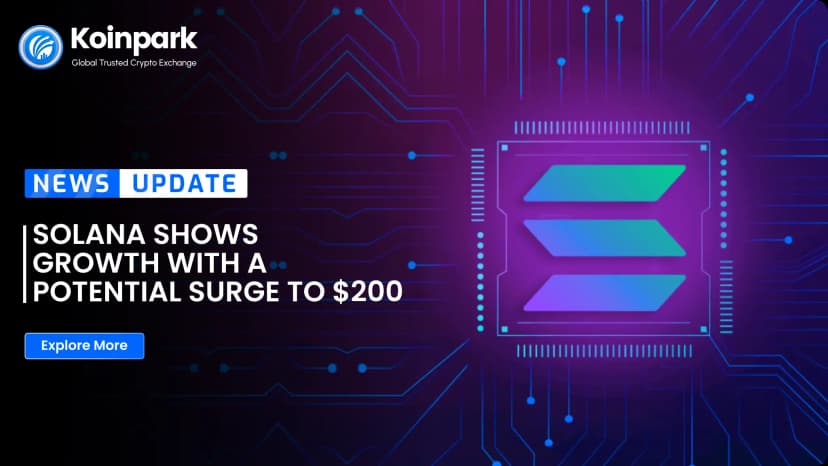 Solana Shows Growth with a Potential Surge to $200