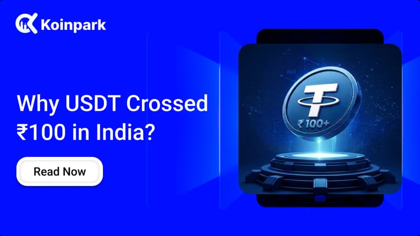 Why USDT Crossed ₹100 in India