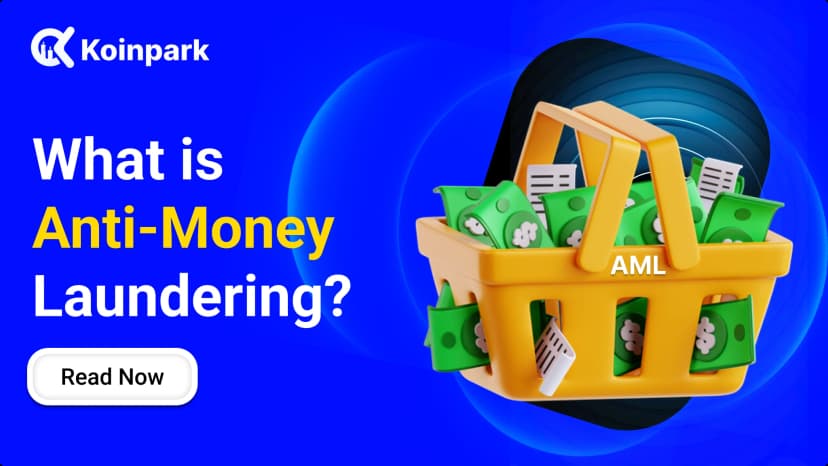 What is Anti-Money Laundering?