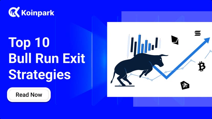 Top 10 Bull Run Exit Strategies