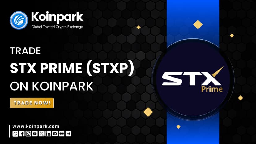 STXP is Now Listed on Koinpark’s INR and USDT Markets