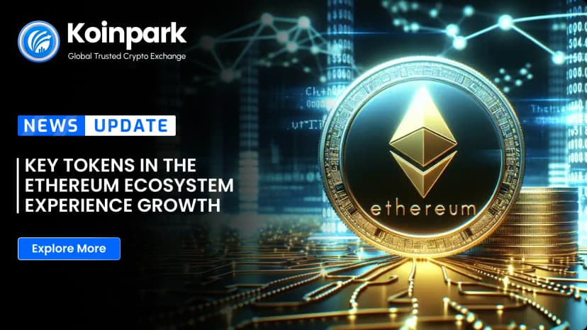 Key Tokens in the Ethereum Ecosystem Experience Growth