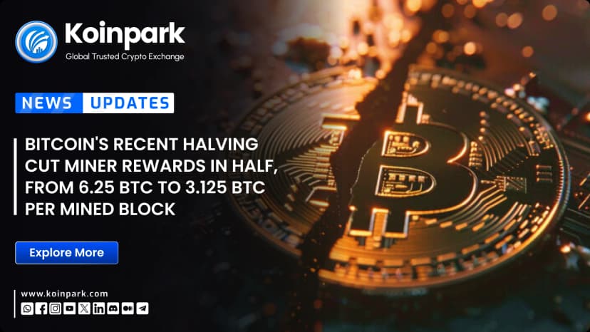 Bitcoin's recent halving cut miner rewards in half, from 6.25 BTC to 3.125 BTC per mined block