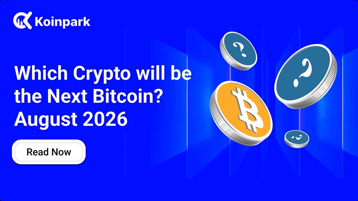 Which Crypto will be the Next Bitcoin? August 2026