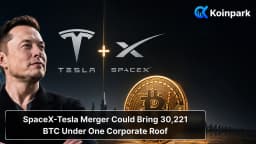 SpaceX-Tesla Merger Could Bring 30,221 BTC Under One Corporate Roof