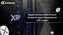 Ripple Partners With Privy to Enable AI Agent Payments on XRP Ledger