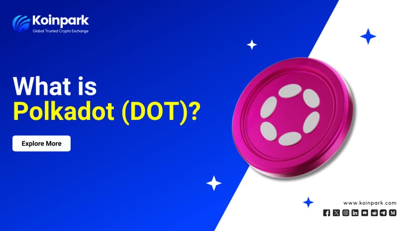 What is Polkadot (DOT)?