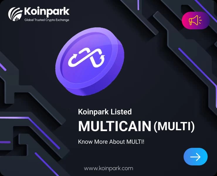Multichain: Pioneering Cross-Chain Token Bridges