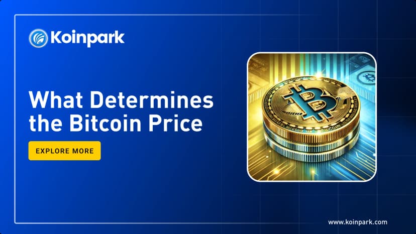 What Determines the Bitcoin Price 