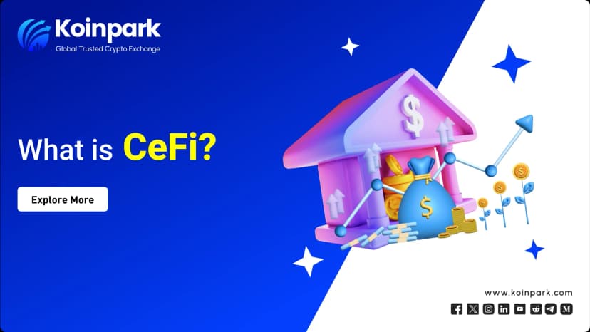 What is CeFi?