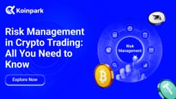 Risk Management in Crypto Trading: All You Need to Know