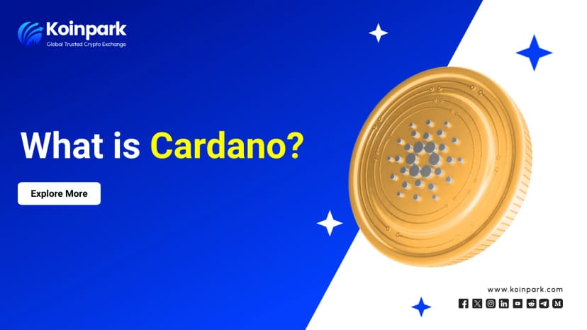 What is Cardano?