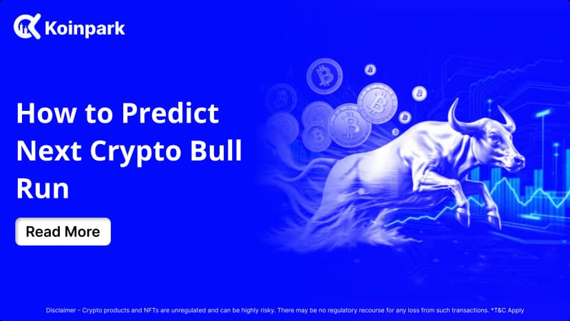 How to Predict Next Crypto Bull Run 